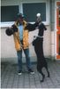 Dobermann Foto: Verrückt nach Eis (ID 2760) Dobermann Hund