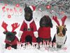Dobermann Foto: Happy X-Mas (ID 27458) Dobermann Hund