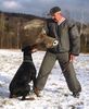 Dobermann Foto: Gino Gomez del Citone x Frezie Bohemia Gotika (ID 2514) Dobermann Hund
