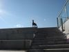 Dobermann Foto: Qui Vive (ID 9364) Dobermann Hund