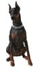 Dobermann Foto: Mein Liebling (ID 10043) Dobermann Hund
