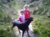 Dobermann Foto: meine freunde (ID 21829) Dobermann Hund