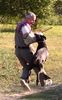 Dobermann Foto: Arnold Halit Pasa Therapy Dog (ID 6883) Dobermann Hund