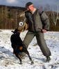 Dobermann Foto: Gino Gomez del Citone x Frezie Bohemia Gotika (ID 2515) Dobermann Hund