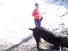 Dobermann Foto: warte helf dir dabei (ID 21835) Dobermann Hund