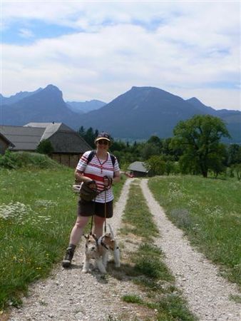 Foxterrier Drahthaar Hunde Foto 39218 Foxterrier Drahthaar in den schonen alpen hinein !