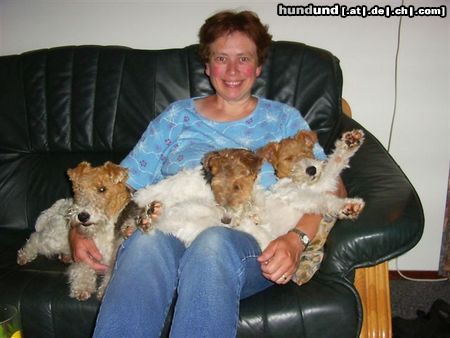 Foxterrier Drahthaar Hunde Foto 23389 Foxterrier Drahthaar wir vier lieben uns fur immer