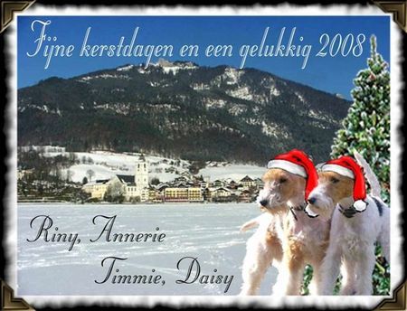 Foxterrier Drahthaar Hunde Foto 40680 Foxterrier Drahthaar Wir wunschen alle frohe weihnachten und ein gutes neues jahr ! Timmie und Daisy !