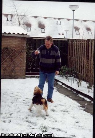Foxterrier Drahthaar Hunde Foto 23790 Foxterrier Drahthaar Wir beiden finden es schon im schnee zu spielen mit ein ander !