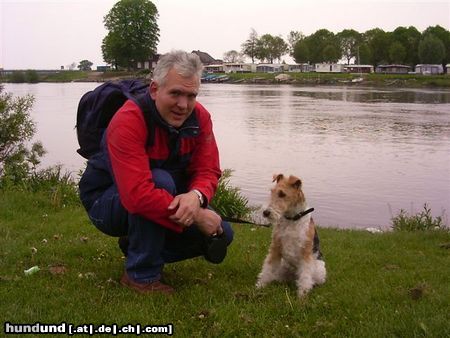 Foxterrier Drahthaar Hunde Foto 23748 Foxterrier Drahthaar Ein sehr schones aussicht uber das wasser