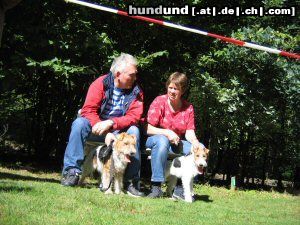 Foxterrier Drahthaar Hunde Foto 25323 Foxterrier Drahthaar wir gehoren zusammen fur das ganze leben !