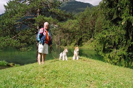 Foxterrier Drahthaar Hunde Foto 33780 Foxterrier Drahthaar Zusammen in diese schone bergwelt