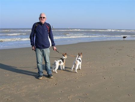 Foxterrier Drahthaar Hunde Foto 37612 Foxterrier Drahthaar Wir drei an das sehr Grobe Meer ! Timmie und Daisy !