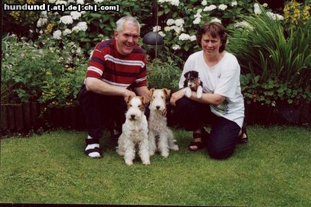 Foxterrier Drahthaar Hunde Foto 22634 Foxterrier Drahthaar Meine mutter Britt und Oma Juki und Riny und Annerie.