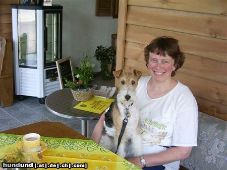 Foxterrier Drahthaar Hunde Foto 23753 Foxterrier Drahthaar wir beiden zusammen