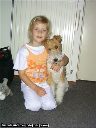 Foxterrier Drahthaar Hunde Foto 22667 Foxterrier Drahthaar daB kleine madchen mit mir zusammen
