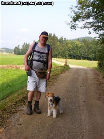 Foxterrier Drahthaar Hunde Foto 23681 Foxterrier Drahthaar eine herliche bergwelt um hier zusammen spazieren zu gehen .