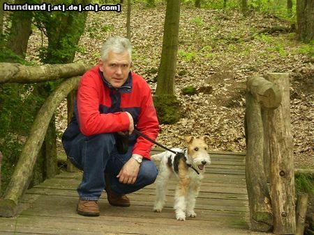 Foxterrier Drahthaar Hunde Foto 23755 Foxterrier Drahthaar wir zwei sind die beste freunde zusammen