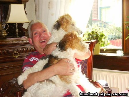 Foxterrier Drahthaar Hunde Foto 24291 Foxterrier Drahthaar Wir lieben es nach drauBen zu schauen.