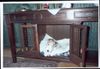 Foxterrier Drahthaar Foto: Es ist sehr schon um hier zu schlafen (ID 22753) Foxterrier Drahthaar Hund