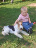 Foxterrier Drahthaar Foto: Zoe mit Sebastian (ID 25557) Foxterrier Drahthaar Hund