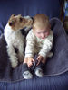 Foxterrier Drahthaar Foto: Bussi, Bussi - Zoe & Sebastian (ID 25563) Foxterrier Drahthaar Hund