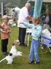 Foxterrier Drahthaar Foto: Mit kinder spielen ist sehr schon ! (ID 39526) Foxterrier Drahthaar Hund