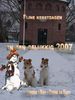Foxterrier Drahthaar Foto: Frohe weihnachten und ein gluckliches neues jahr wunschen euch allen TIMMIE UND DAISY . (ID 35775) Foxterrier Drahthaar Hund
