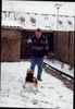 Foxterrier Drahthaar Foto: Wir beiden finden es schon im schnee zu spielen mit ein ander ! (ID 23790) Foxterrier Drahthaar Hund