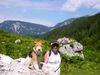 Foxterrier Drahthaar Foto: Hier mochten wir zwei immer bleiben in den schonen alpen ! (ID 23576) Foxterrier Drahthaar Hund