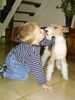 Foxterrier Drahthaar Foto: Kinder hab ich sehr gerne (ID 22656) Foxterrier Drahthaar Hund