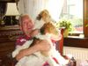 Foxterrier Drahthaar Foto: Wir lieben es nach drauBen zu schauen. (ID 24291) Foxterrier Drahthaar Hund