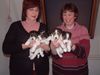 Foxterrier Drahthaar Foto: 4 kleine schone drahthaar foxterriers ! (ID 23835) Foxterrier Drahthaar Hund