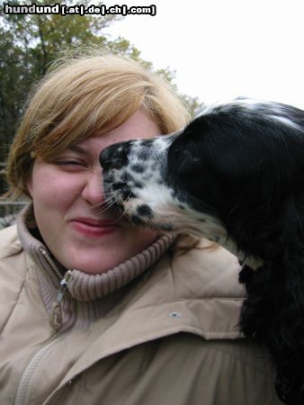 Englischer Cocker Spaniel Luna gibt gern Küsschen