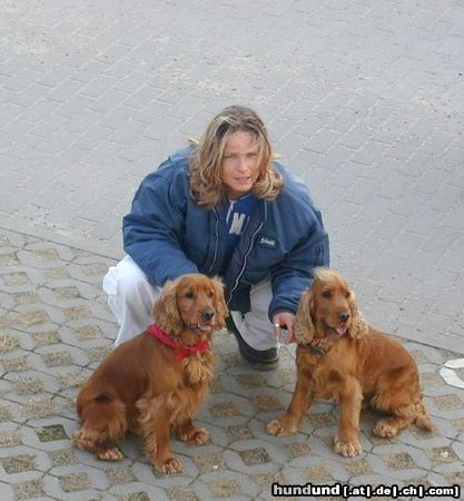 Englischer Cocker Spaniel Hunde Foto 8136 Englischer Cocker Spaniel Lui (re)&Leo(li)