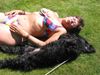 Englischer Cocker Spaniel Hund