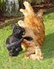 Englischer Cocker Spaniel Foto: Cara´s D´Arielle und Cara´s Beautiful Kiss in Action ;) (ID 19987) Englischer Cocker Spaniel Hund