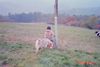 Epagneul Breton Foto: unsere Viva (ID 7732) Epagneul Breton Hund
