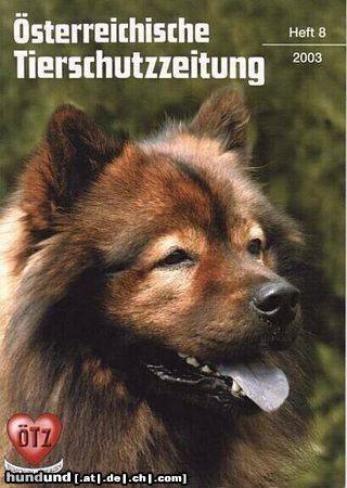Eurasier Hunde Foto 5393 Eurasier Arras vom Amselgarten (ECA) am Titalblatt der ÖTZ