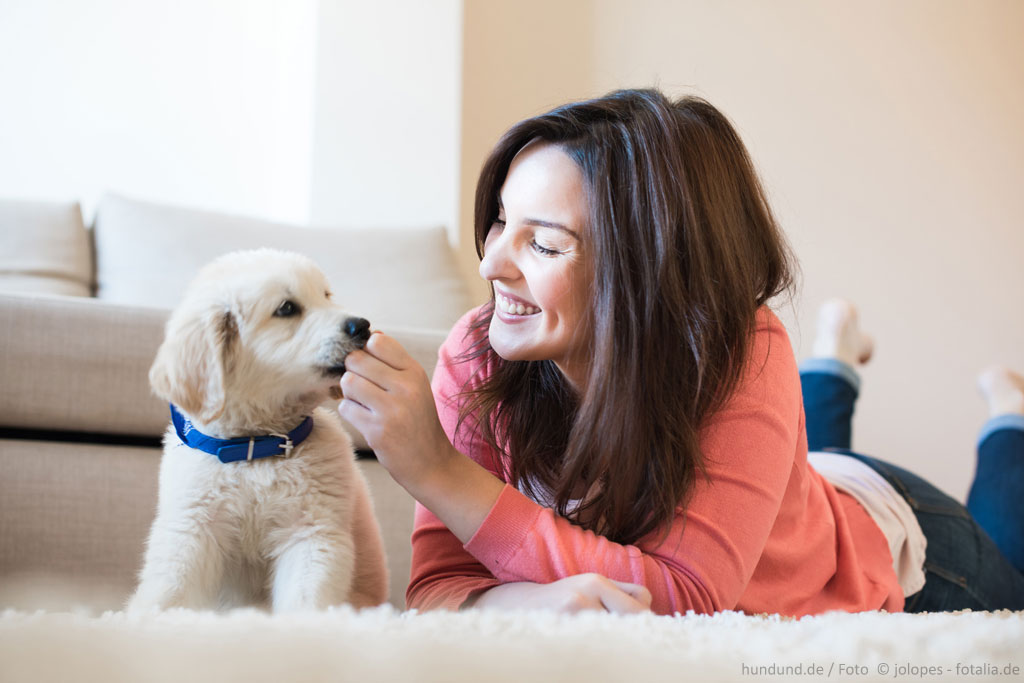 Familienhund Geeignete Hunderassen Fur Familien Hundund De