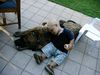 Fila Brasileiro Foto: Beste Freunde! (ID 21248) Fila Brasileiro Hund