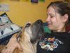 Fila Brasileiro Foto: conchita ist ein kuschelmonster :-) (ID 42679) Fila Brasileiro Hund