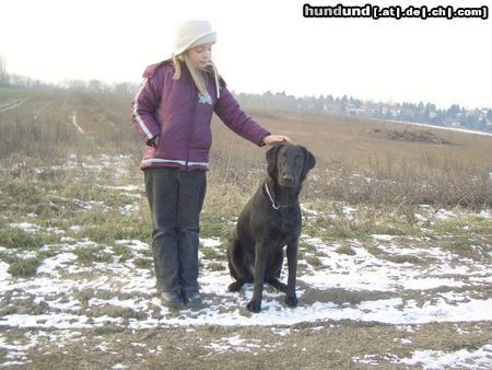 Flat Coated Retriever Hunde Foto 8405 Flat Coated Retriever Zoi 9Monate