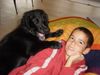 Flat Coated Retriever Foto: zwei dicke Freunde (ID 9914) Flat Coated Retriever Hund