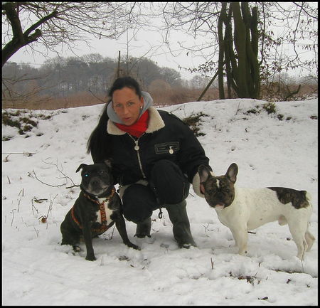 Französische Bulldogge Hunde Foto 29920 in höherer Auflösung ansehen Französische Bulldogge Bruno+Brenda und Sabine