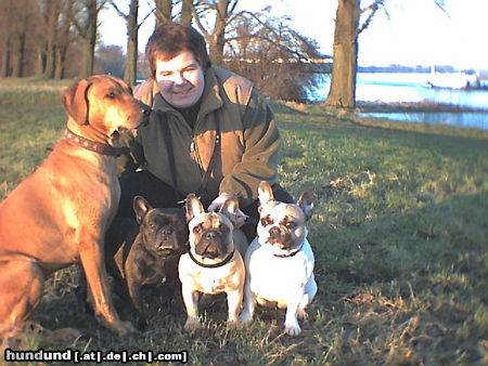 Französische Bulldogge Hunde Foto 25514 in höherer Auflösung ansehen Französische Bulldogge Alle meine Hunde
