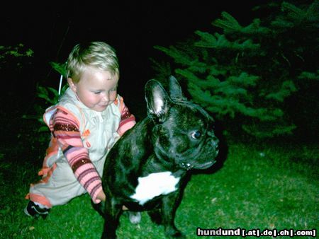 Französische Bulldogge Hunde Foto 4772 Französische Bulldogge spike mit seiner freundin