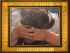 Französische Bulldogge Hund