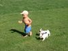 Französische Bulldogge Hund