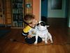 Französische Bulldogge Hund